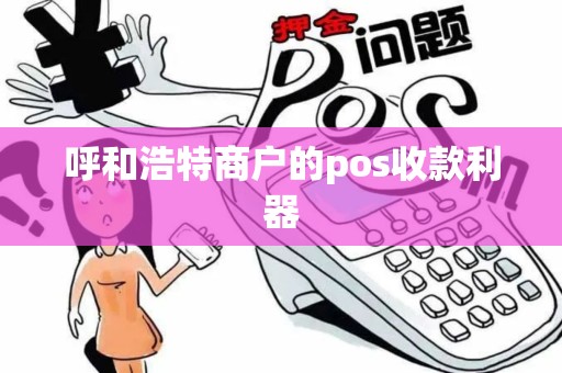 呼和浩特商户的pos收款利器