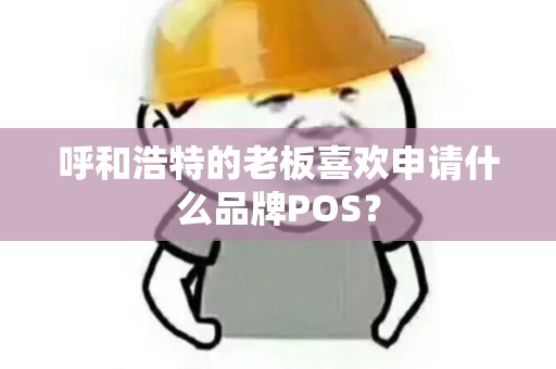 呼和浩特的老板喜欢申请什么品牌POS？