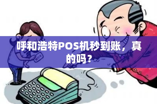 呼和浩特POS机秒到账，真的吗？