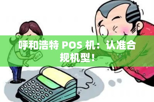 呼和浩特 POS 机：认准合规机型！