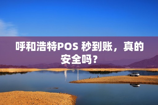 呼和浩特POS 秒到账，真的安全吗？