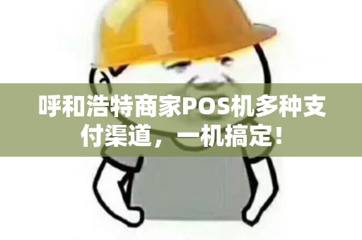 呼和浩特商家POS机多种支付渠道，一机搞定！