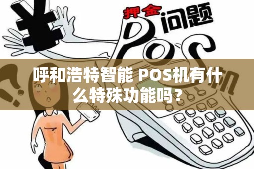 呼和浩特智能 POS机有什么特殊功能吗？
