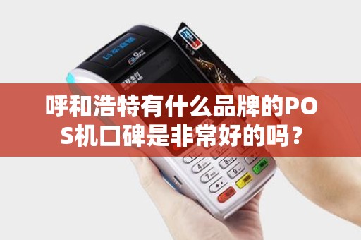 呼和浩特有什么品牌的POS机口碑是非常好的吗？