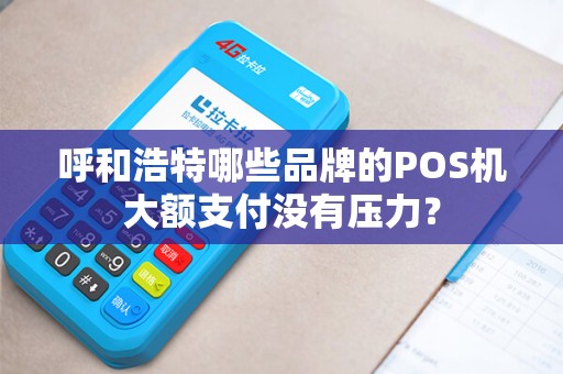 呼和浩特哪些品牌的POS机大额支付没有压力？