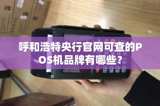 呼和浩特央行官网可查的POS机品牌有哪些？