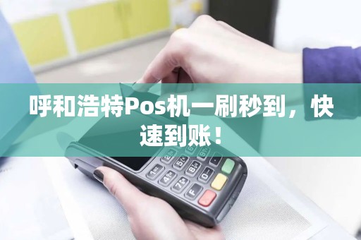 呼和浩特Pos机一刷秒到,快速到账!