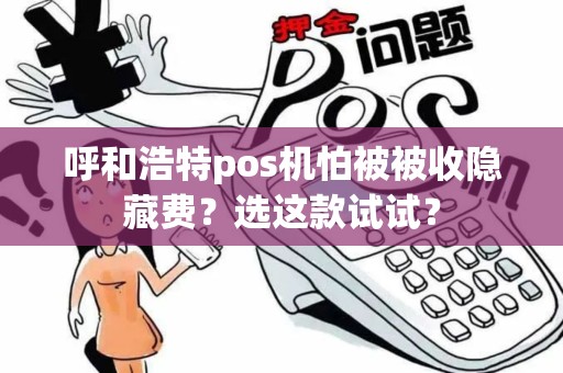 呼和浩特pos机怕被被收隐藏费?选这款试试?