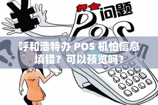 呼和浩特办 POS 机怕信息填错?可以预览吗?