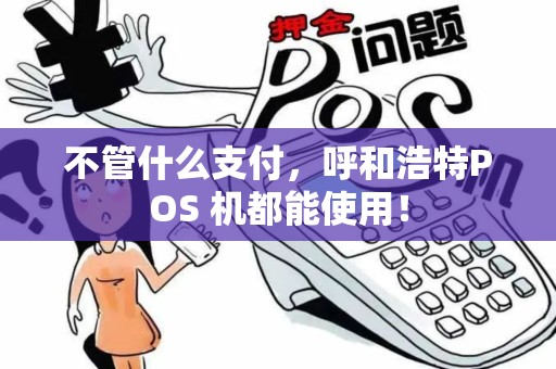 不管什么支付,呼和浩特POS 机都能使用!