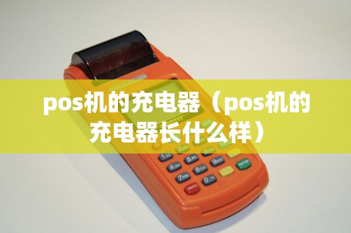 pos机的充电器（pos机的充电器长什么样）
