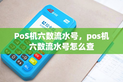 PoS机六数流水号，pos机六数流水号怎么查