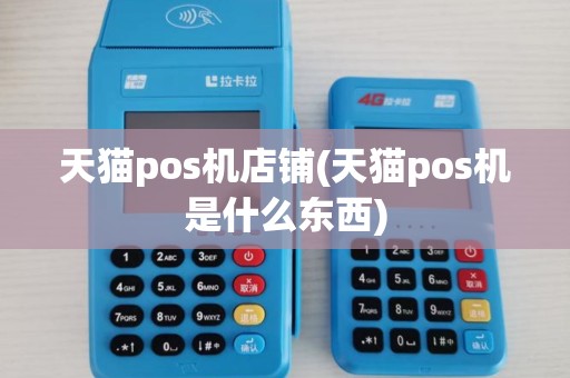 天猫pos机店铺(天猫pos机是什么东西)