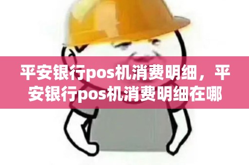 平安银行pos机消费明细，平安银行pos机消费明细在哪里看
