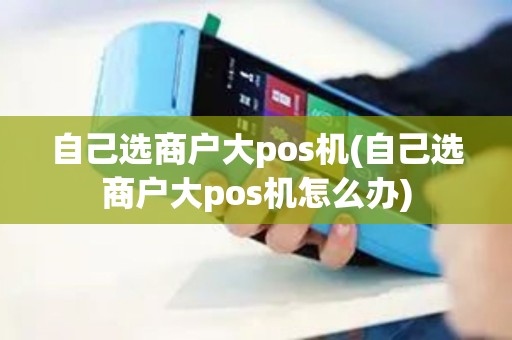 自己选商户大pos机(自己选商户大pos机怎么办)