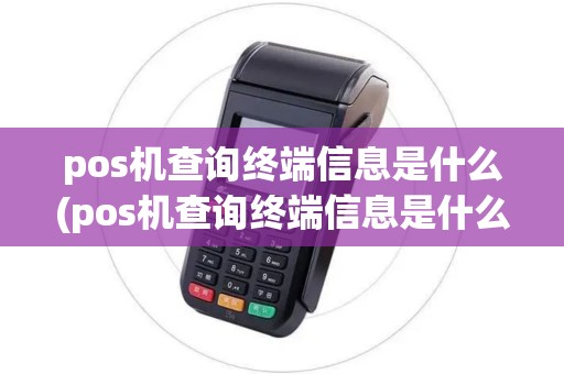 pos机查询终端信息是什么(pos机查询终端信息是什么软件)