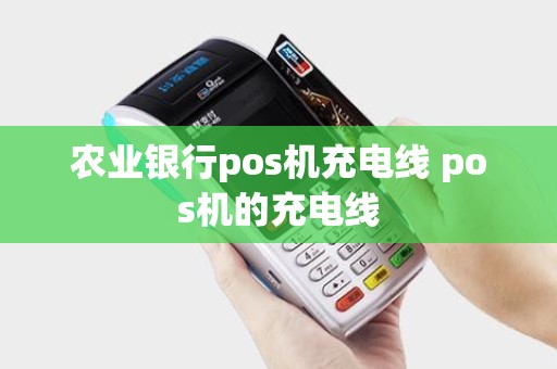 农业银行pos机充电线 pos机的充电线