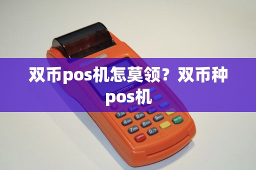 双币pos机怎莫领？双币种pos机