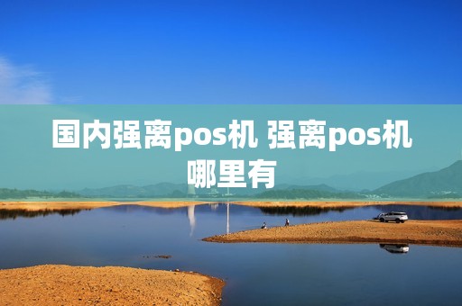 国内强离pos机 强离pos机哪里有