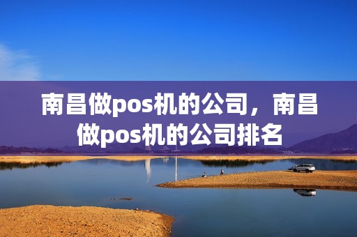 南昌做pos机的公司，南昌做pos机的公司排名