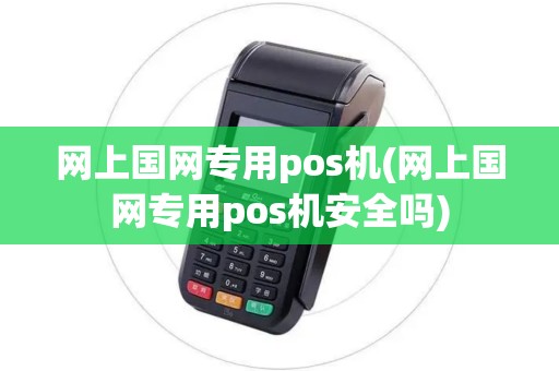 网上国网专用pos机(网上国网专用pos机安全吗)