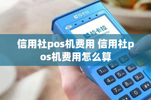 信用社pos机费用 信用社pos机费用怎么算
