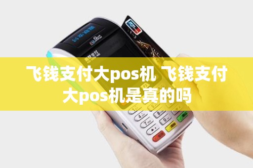 飞钱支付大pos机 飞钱支付大pos机是真的吗