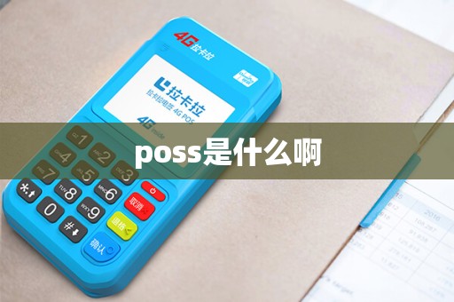poss是什么啊