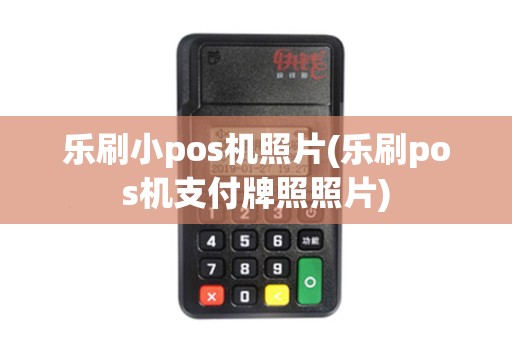 乐刷小pos机照片(乐刷pos机支付牌照照片)