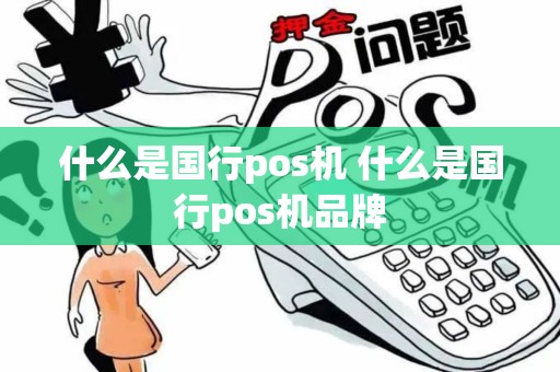 什么是国行pos机 什么是国行pos机品牌