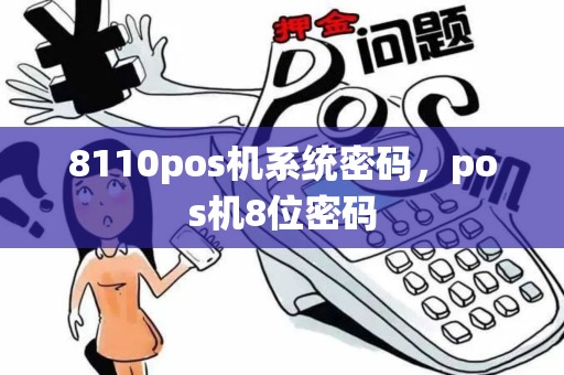 8110pos机系统密码，pos机8位密码