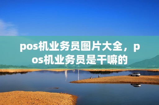 pos机业务员图片大全，pos机业务员是干嘛的