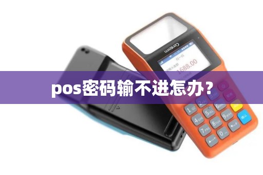 pos密码输不进怎办？