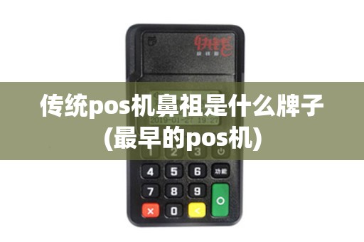 传统pos机鼻祖是什么牌子(最早的pos机)