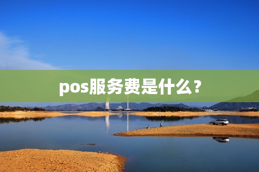 pos服务费是什么？