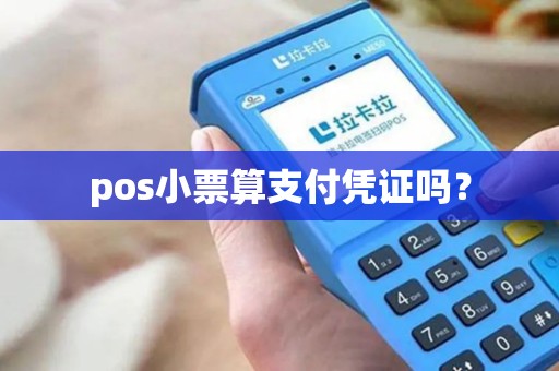 pos小票算支付凭证吗？