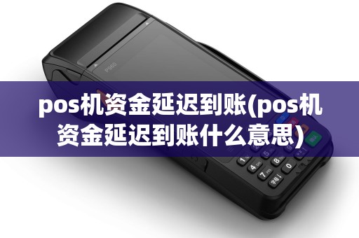 pos机资金延迟到账(pos机资金延迟到账什么意思)