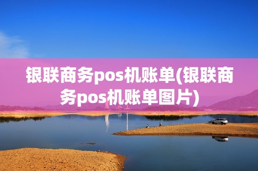 银联商务pos机账单(银联商务pos机账单图片)