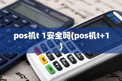 pos机t 1安全吗(pos机t+1)