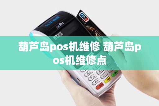 葫芦岛pos机维修 葫芦岛pos机维修点