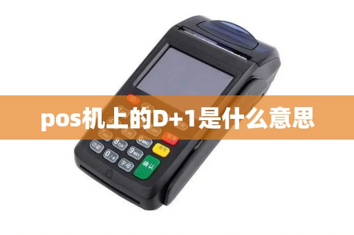 pos机上的D+1是什么意思