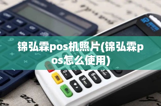 锦弘霖pos机照片(锦弘霖pos怎么使用)