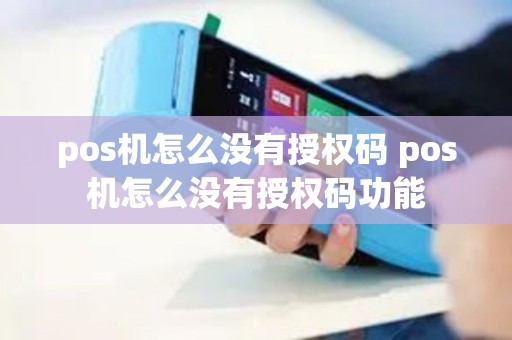 pos机怎么没有授权码 pos机怎么没有授权码功能