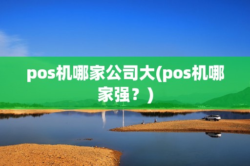 pos机哪家公司大(pos机哪家强？)