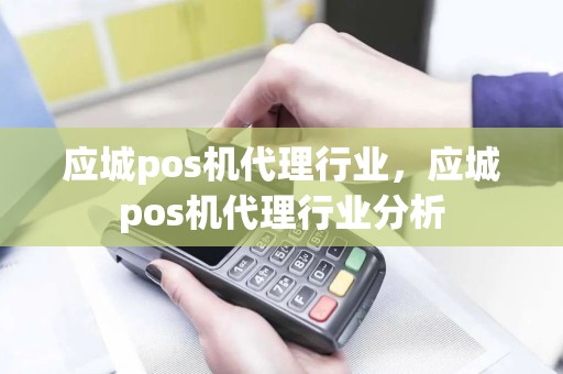 应城pos机代理行业，应城pos机代理行业分析
