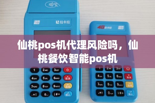 仙桃pos机代理风险吗，仙桃餐饮智能pos机