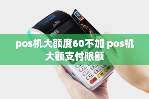 pos机大额度60不加 pos机大额支付限额