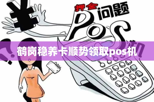 鹤岗稳养卡顺势领取pos机