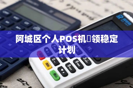 阿城区个人POS机颳领稳定计划