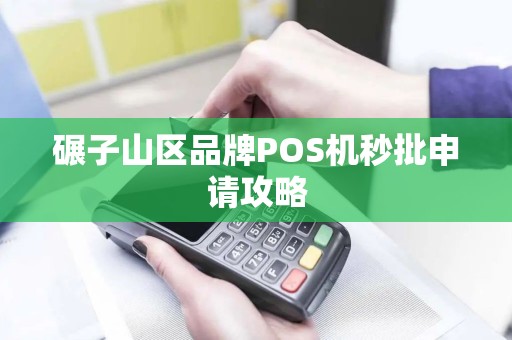 碾子山区品牌POS机秒批申请攻略